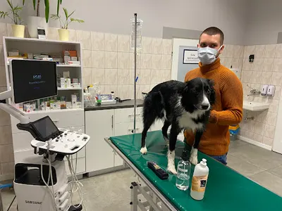 Kotewicz i Ługiewicz